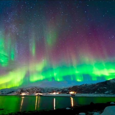 In The Heart Of The Aurora Borealis - Tromso City Екстериор снимка