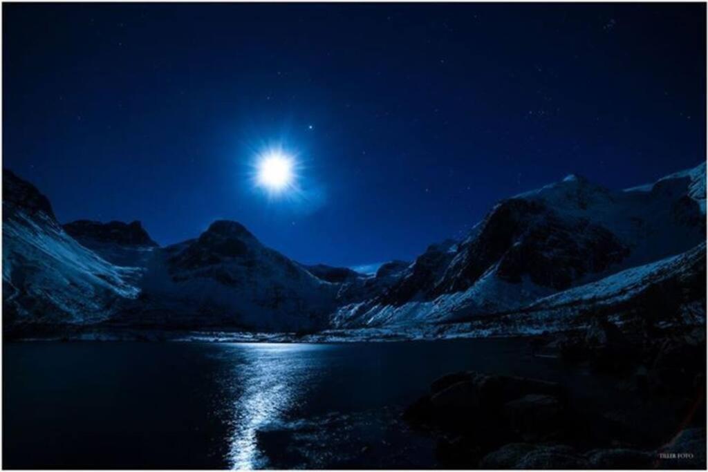 In The Heart Of The Aurora Borealis - Tromso City Екстериор снимка